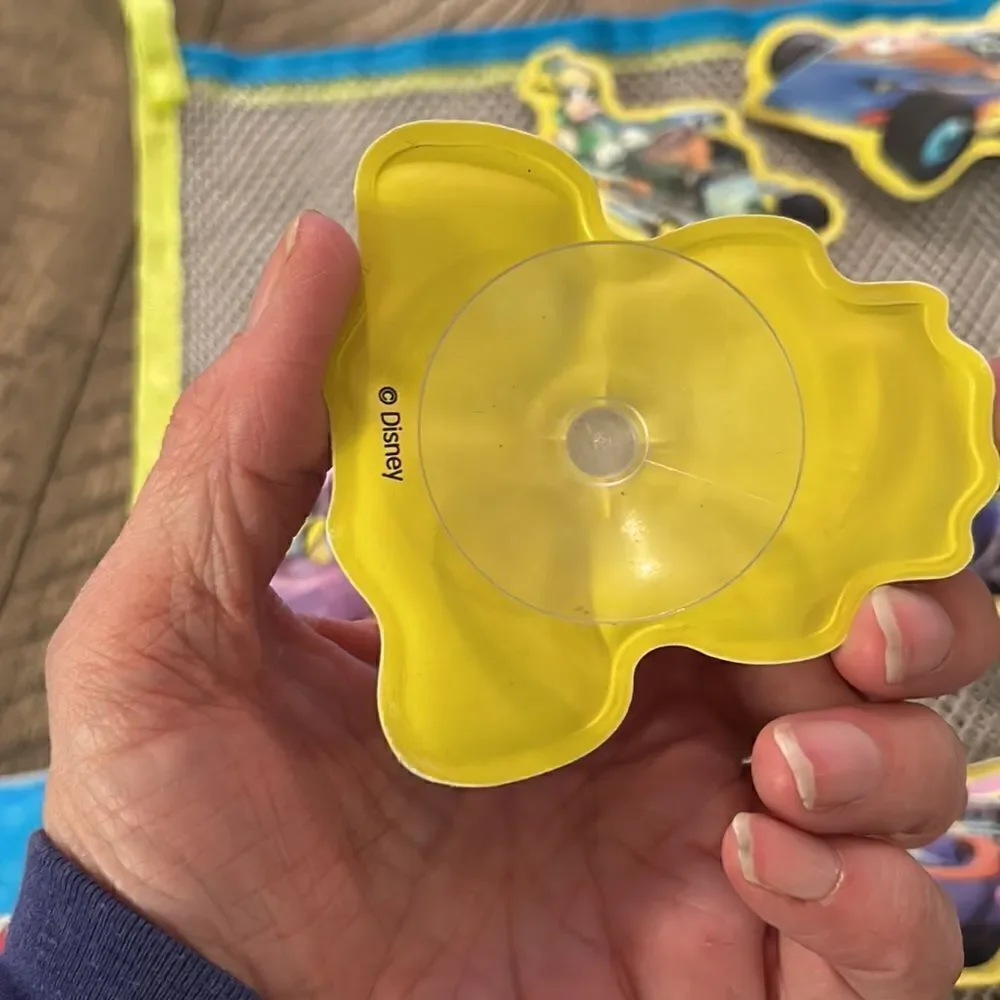 Disney bonus magnetic